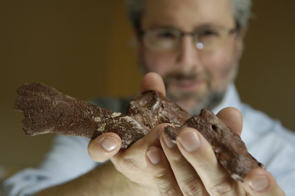 Neil Shubin Tiktaalik roseae